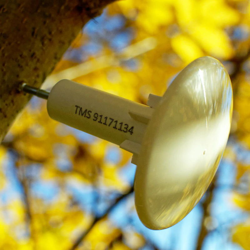 Thermologger on a tree with sun shield